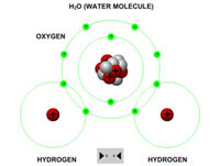 Covalent bonds between hydrogen and oxygen atoms in a water molecule